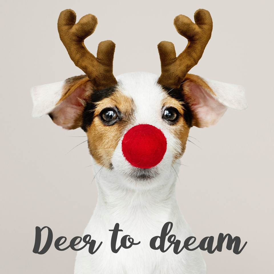 amber_nest's tweet photo. Feliz Navidad! Mele Kalikimaka! Merry Christmas! Happy Holidays! Here's to a new year full of peace and joy for you and yours! Cheers!
#Christmas #creative #cute #design #graphicdesign #handmadefont #handwritingfont #holidays #fontnerd #fonts #script #type #typography https://t.co/4VQ6aKC7Nl