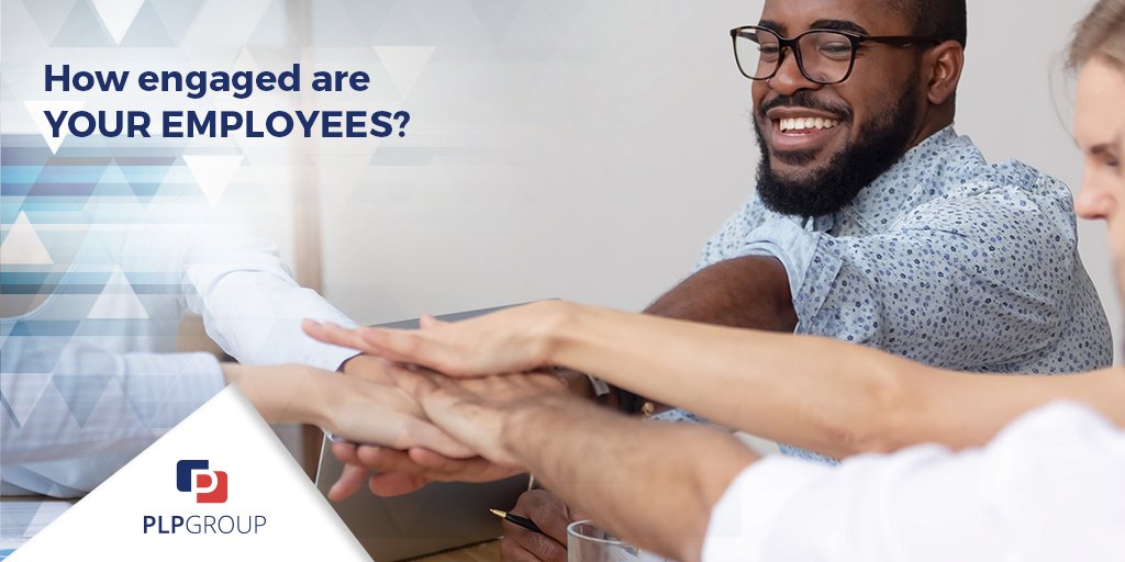 PLP Group tweet media