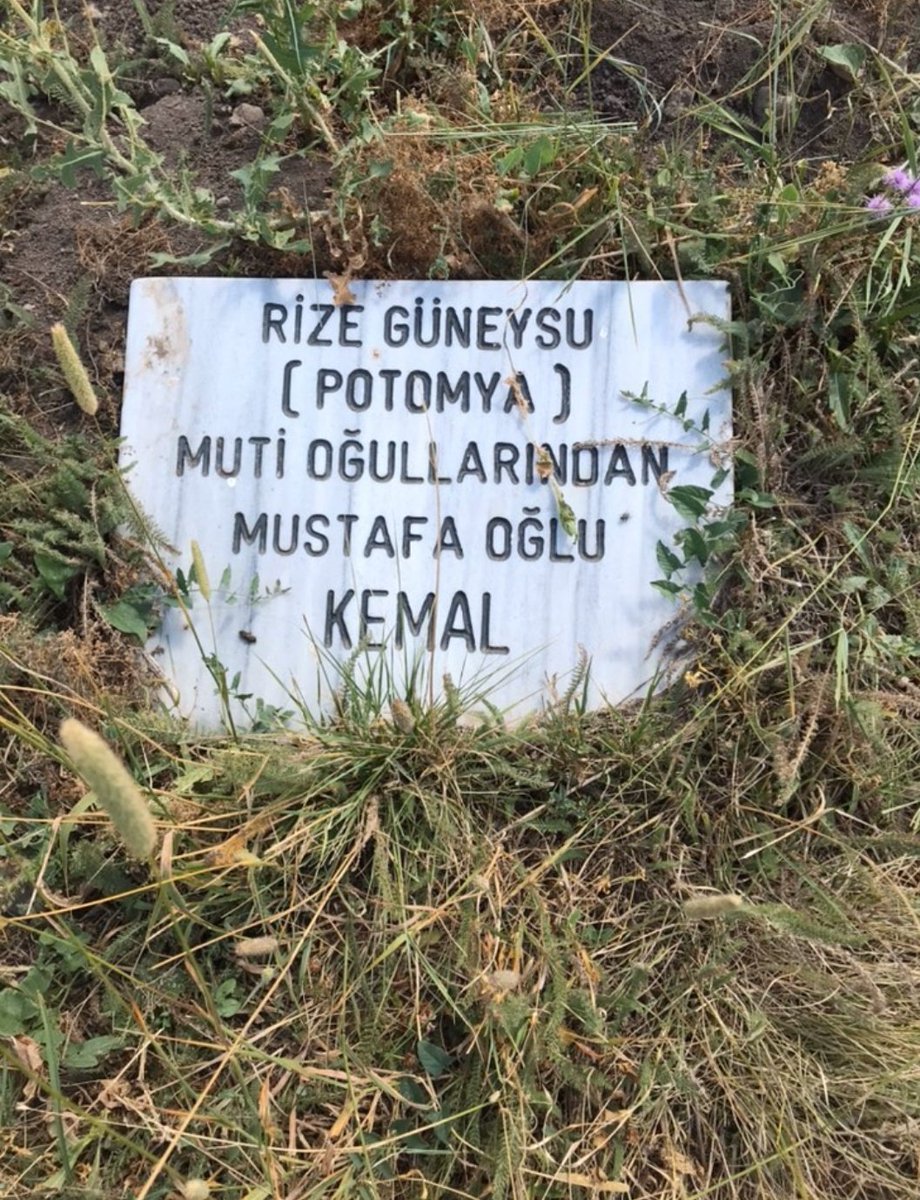 guvenislamoglu's tweet photo. Sarıkamış şehitlikleri. Üzücü.Çoğunun kapısı bile yok hayvanlar otluyor.  @TSKGnkur  @tcsavunma https://t.co/z7SacUE5Ax