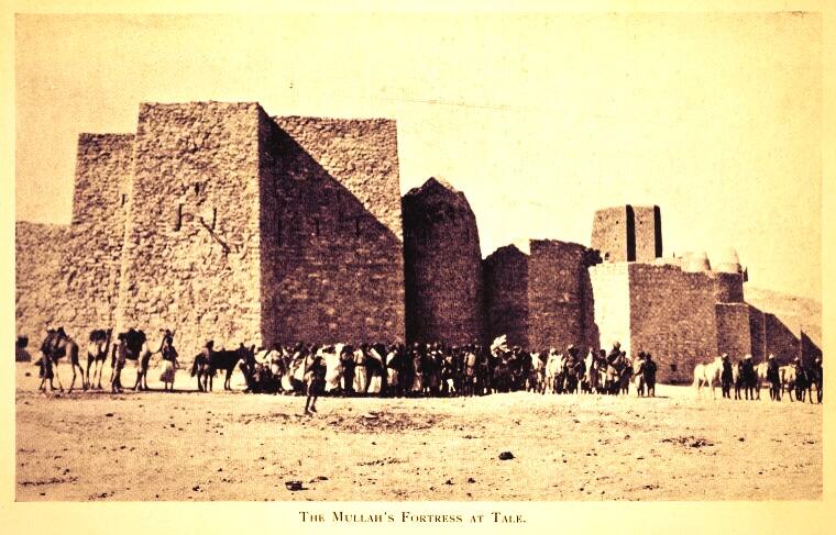 The Somali freedom fighters were known as the Dervishes (Darwiish). They built several forts including these ones. The British bombing damaged them. 5/6