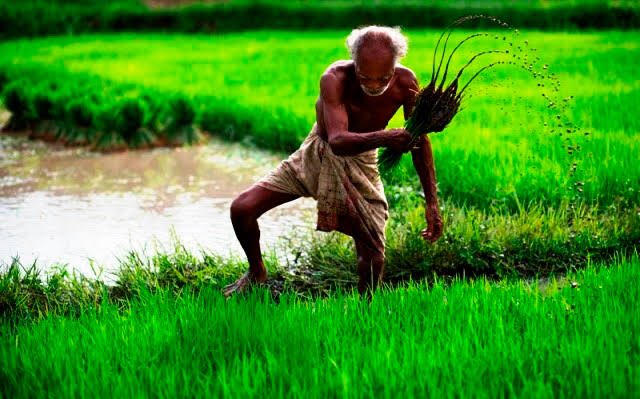 HeroManoj1's tweet photo. They are neither our family members nor relatives. But still they work so hard to feed us. It's our responsibility to support, protect and respect farmers 🙏
#farmersday https://t.co/slbBKOnnRG
