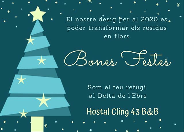 TastalRiu's tweet photo. Bones festes us desitja el @hostalcling43 , #christmas #christmastree #bonnadal #bonesfestes #merrychristmas #buenasfiestas #feliznavidad #joyeuxnoel https://t.co/OsRJC51b0k https://t.co/x2NfuUqug4