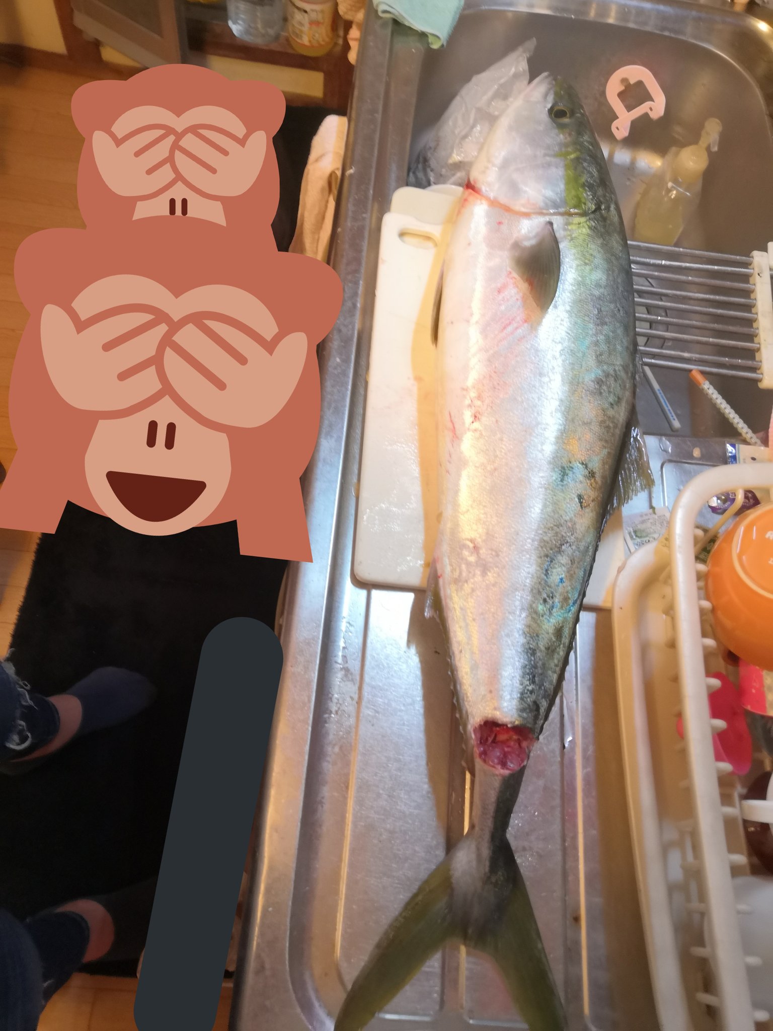 Twitter এ タカオ スピアフィッシング 釣り垢 初の防波堤ブリget ヒラメ狙いだったけどまぁよしとしようw サイズ９２cm 内臓脂肪はあまりなかったけど 楽しませてくれたからよしとしようw 防波堤 ブリ トップ 福岡 T Co Tekjvtfdzz ট ইট র