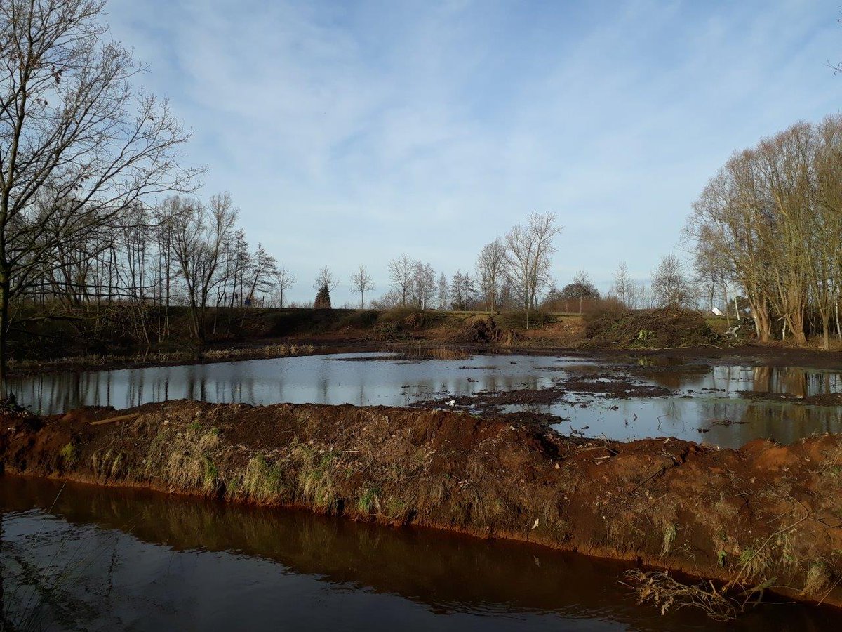 Waterlopen's tweet photo. 2 maanden na start werken aan de Scheppelijke Nete in #Mol #Gompel is de opkuis grotendeels gedaan. Ongewenste planten en koterijen zijn verwijderd, asbest is afgevoerd en vijvers hebben een nieuw profiel gekregen. Veel veranderingen al, maar we zijn er nog niet #ruimtevoorwater https://t.co/uBYpePkSlN