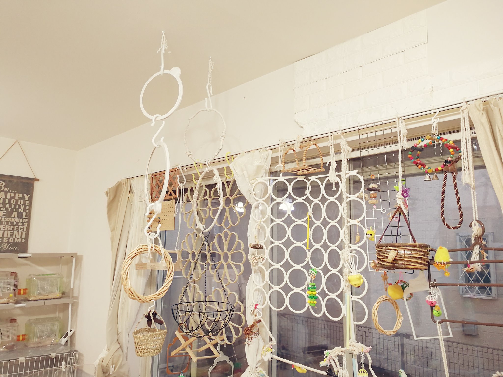むらゆ★小動物□⬜︎アスレチックHOUSE⬜︎□⚪︎バードアスレチック 楽天市場】fuu バードアスレチック はしごタイプ 小鳥 止まり木
