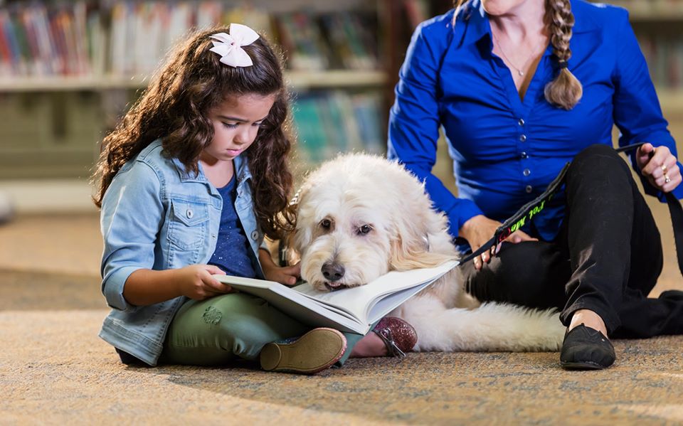 AustPsych's tweet photo. This widely-read article explores the potential of therapy dogs to treat children experiencing trauma, published in Australian Journal of Psychology here https://t.co/Bec4PT0dG5. #Top20Article #WileyPsychology 10.1111/ajpy.12199 https://t.co/lWEitviEM3