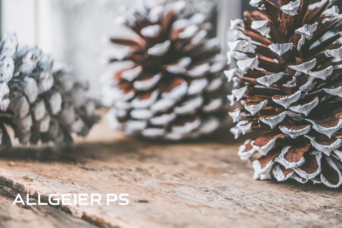 Die Allgeier PS wünscht allen Freunden, Kunden &amp; Partnern frohe Weihnachten und erholsame Feiertage!