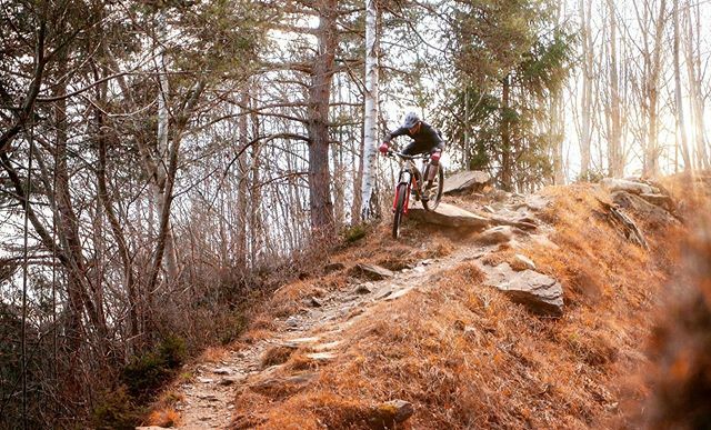 2radwanderer's tweet photo. Happy trails, folks! 🤟
...
@evilbicycles
@mtbswitzerland
@graubuendenbike
@gformbike
@cushcore
...
#mountainbike #freeride #mtb #singletrail #outdoor #mtblife #plantbasedathlete #vegan #MountainBiking #lifebehindbars #mtbswitzerland #enduro #alps #mtblifestyle #neverstopexpl… https://t.co/c0q7B80my4