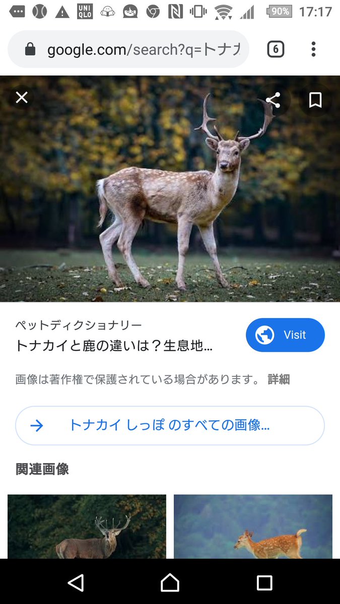 ロッキーa K A ふじさきこーき 昨日の物販 ひよりん5 すた1 全チェキ1 ジャイスタ初上陸 そして久々のラブくん はーちゃん にお姉ちゃんぶるひよりん 推しピ Bts Vくん と好きピ ひよりん とロキピ 写真 P Sトナカイ にはしっぽちゃんとあるよ