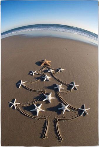 • M E R R Y  X M A S • 
Wishing all our fabulous followers, supporters and brand ambassadors the most wonderful Christmas. 
 Here’s to a happy and healthy 2020! We really look forward to hearing about and sharing your #bigplasticpledge stories 
#saynotosingleuseplastic
