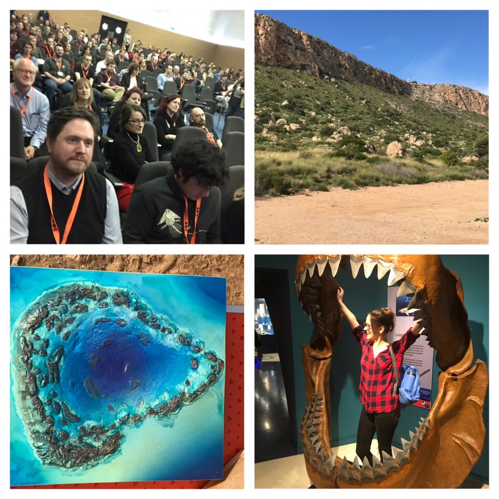 ProfDATHarper's tweet photo. Thanks to our Spanish colleagues #palass19 for a wonderful few days in #Valencia, super field trip to Miocene of #Alicante and its super Palaeontological Museum. Thanks ⁦@vanmildert1965⁩ looking forward to Manchester in 2020. ⁦@DurUniEarthSci⁩ ⁦@ThePalAss⁩. https://t.co/9Rxt3mmpXm