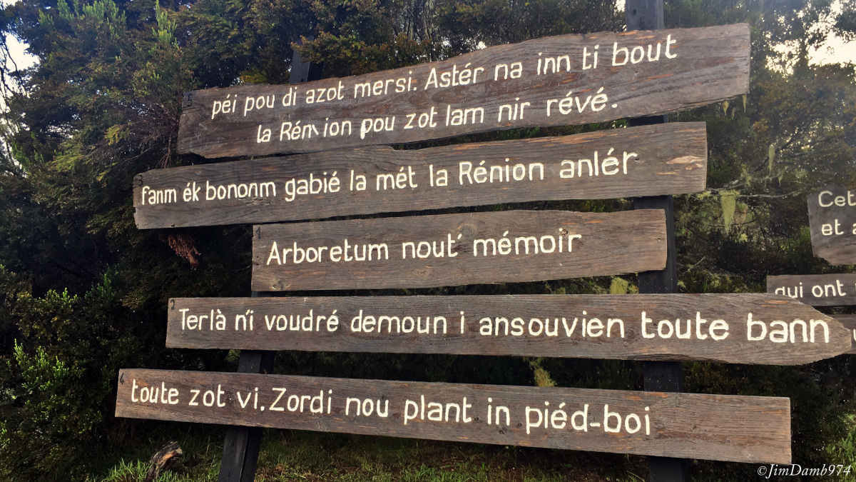 jimdamb974's tweet photo. Je vous ai dit que je remonterai à Dimitile, j'ai choisi pour cela le 20 Désamb
#laReunion #Team974 #MagnifiqueReunion #OutreMer #Nature #Voyages #tourisme #vacances #Dimitile #Unesco #France #Trail #20desamb #Fètkaf https://t.co/cw3Zpz619K