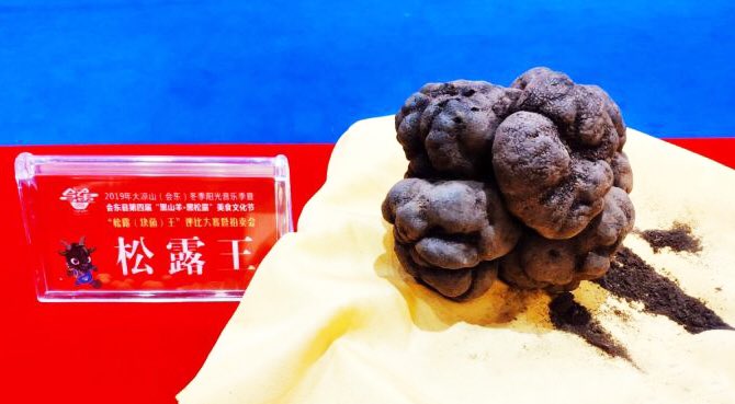 chinesetruffles's tweet photo. #seoulchef #macauchef #dubaichef #shanghailife #shanghaichef #chinachef #hkchef #bangkokchef #nychef #beijingchef #chefstable #trufflehk #mumbaichef #michelinguide #michelinstarchef #frenchrestaurant #italianrestaurant #spanishrestaurant https://t.co/98U6yeWJz1