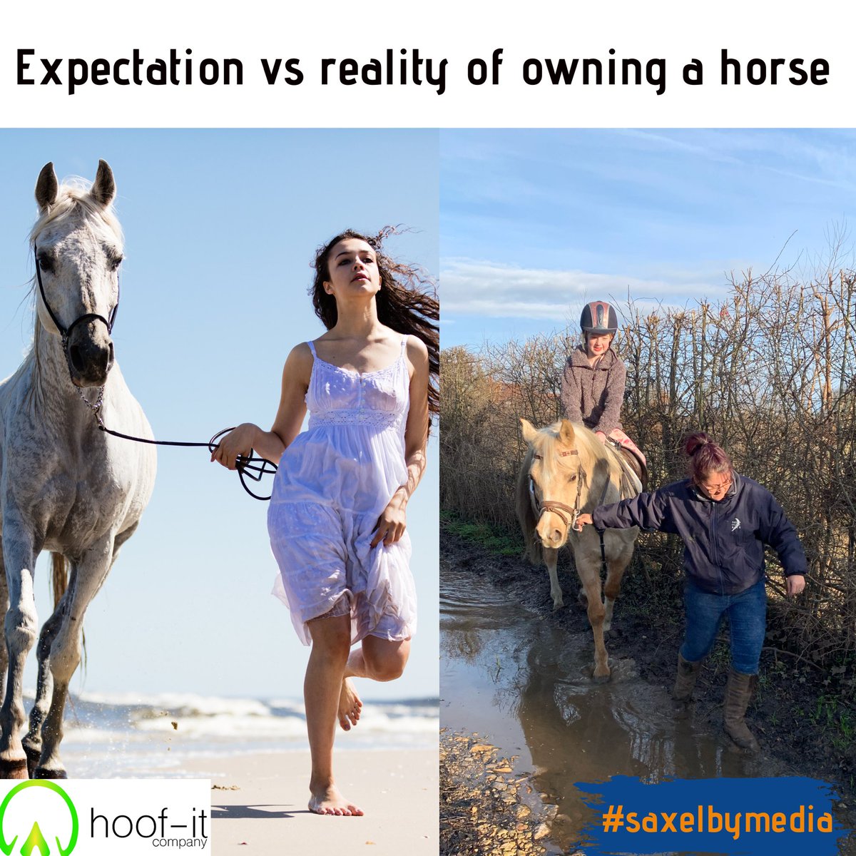 Expectation vs reality of owning a horse! 

#horsechat