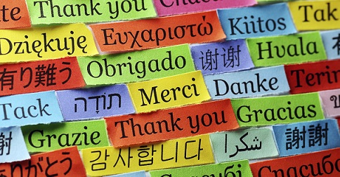 cliclavoro's tweet photo. #Fluentify è una piattaforma online per migliorare le conoscenze linguistiche dei lavoratori, nata in Italia ma pronta a spopolare in tutto il mondo! https://t.co/EKJ5ebCQtZ https://t.co/sIUBq5Tt51