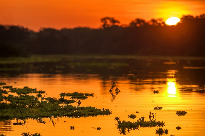 conserv_lab's tweet photo. 6 CONSERVATION SUCCESS STORIES OF 2019 - interesting article to end the year, by @OpenAccessGov 

https://t.co/we6wgupCth https://t.co/ucj2pacsS8