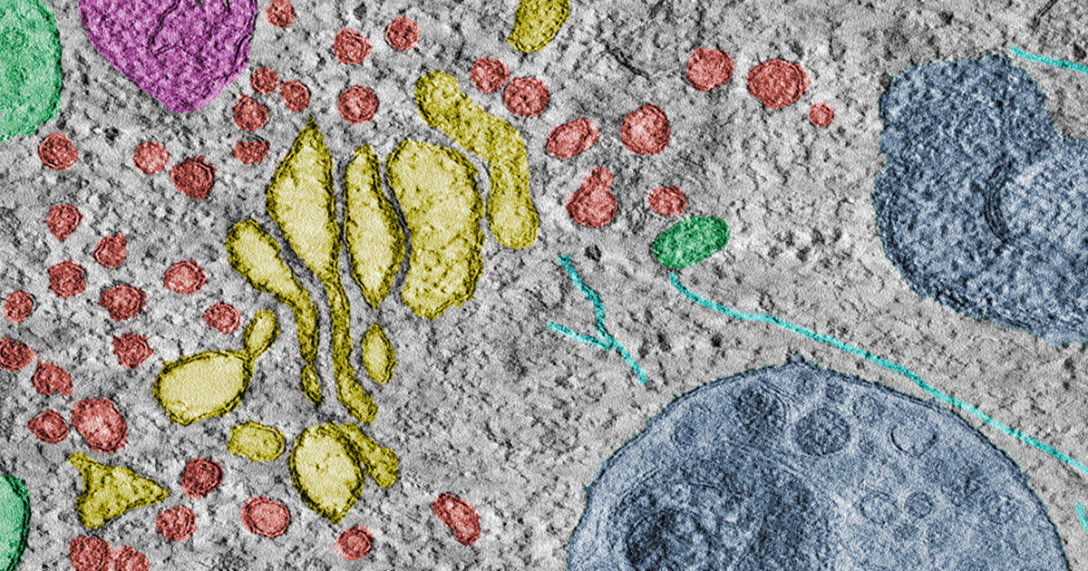 UMC Utrecht tweet media