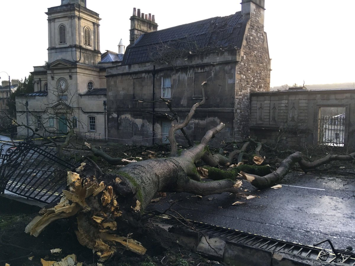 bcbathnes's tweet photo. We're not just Building Regulations, we also deal with dangerous structures! Our Building Control team have been on site early this morning dealing with a fallen tree incident. #DangerousStructures #BuildingControl #LABC #Bath https://t.co/fqwkTtWZNB
