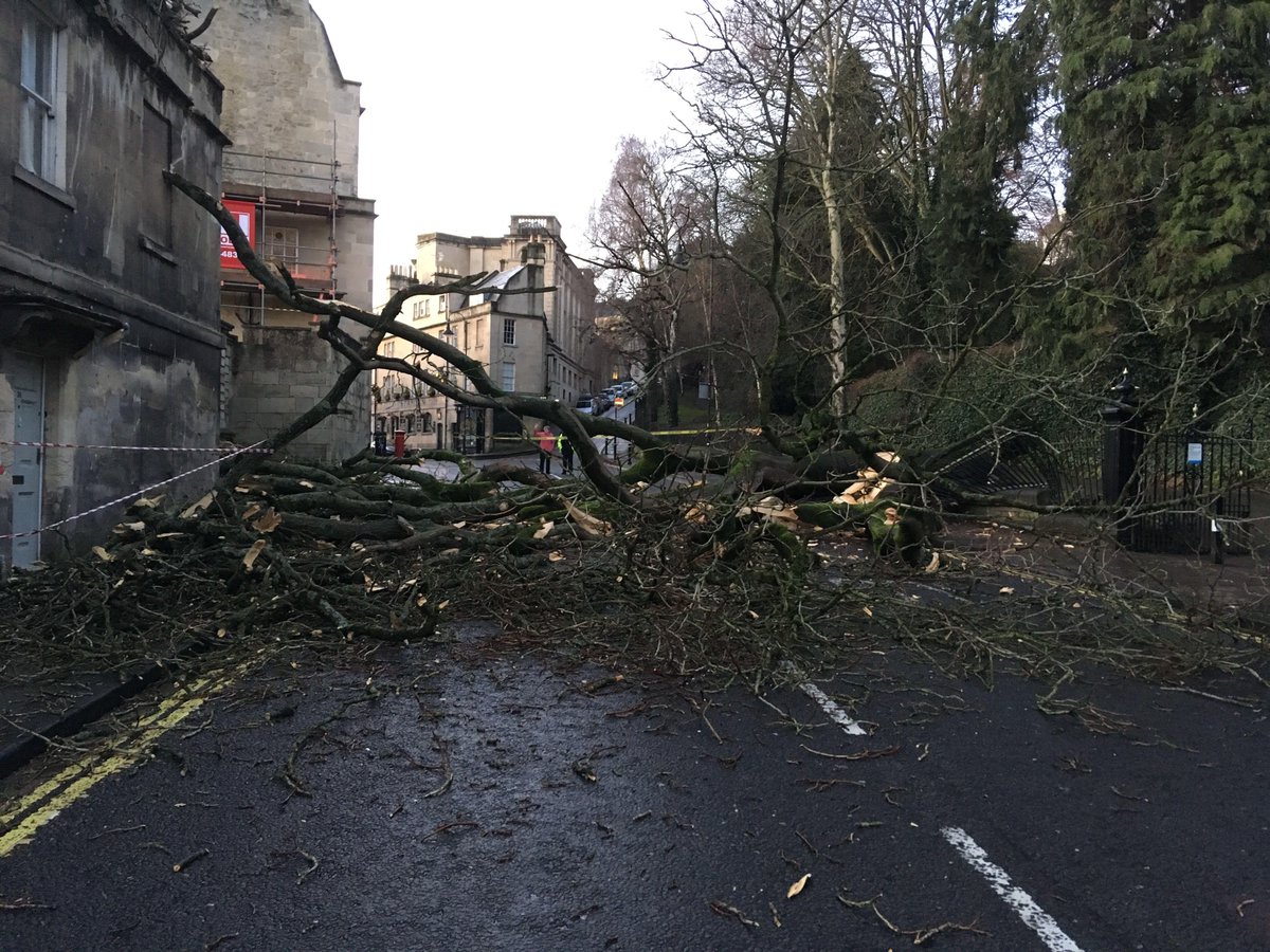 bcbathnes's tweet photo. We're not just Building Regulations, we also deal with dangerous structures! Our Building Control team have been on site early this morning dealing with a fallen tree incident. #DangerousStructures #BuildingControl #LABC #Bath https://t.co/fqwkTtWZNB