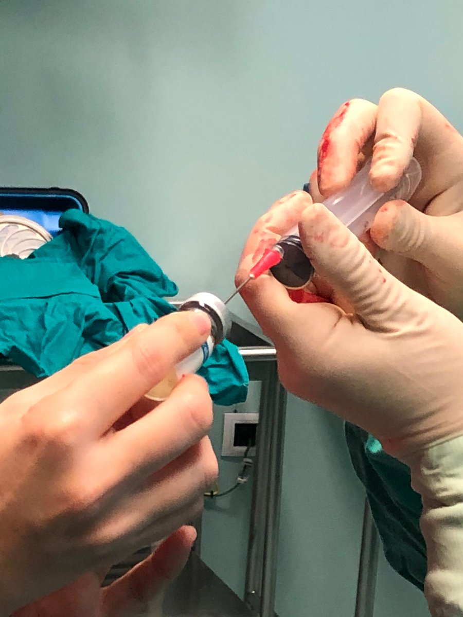 HospitalLaFe tweet media