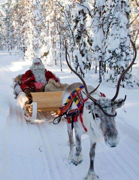 Dear Friends,we have faced many challenges this year but we had great people at our side. All we can say is "THANK YOU".Wishing santa brings you the gift of never ending happiness this christmas, may you and your family be blessed abundantly merry christmas💕🌟MERRY CHRISTMAS🌟💕