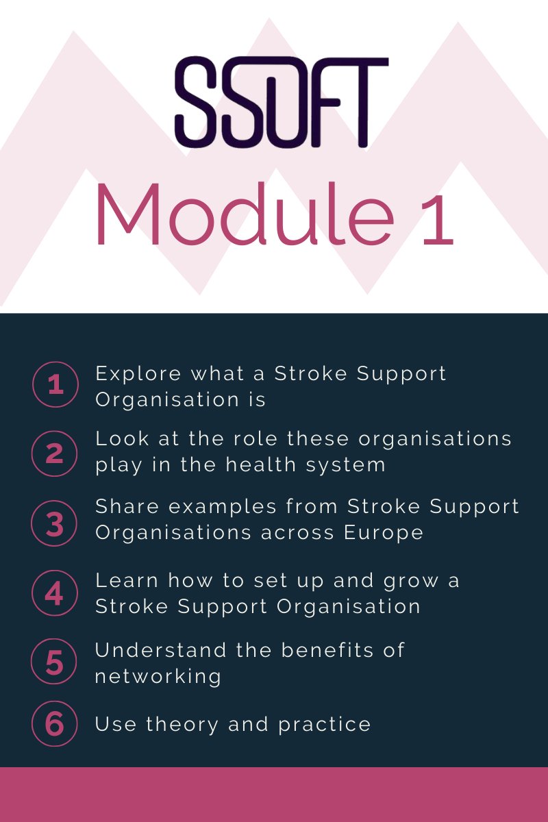 SSOFT11's tweet photo. SSOFTs Module 1 is designed to help anyone thinking about setting up or growing their own Stroke Support Organisation (SSO).
If you Register now with #SSOFT
➡ https://t.co/UUMbqYQsx2, in this module you will https://t.co/MuepFotSj0