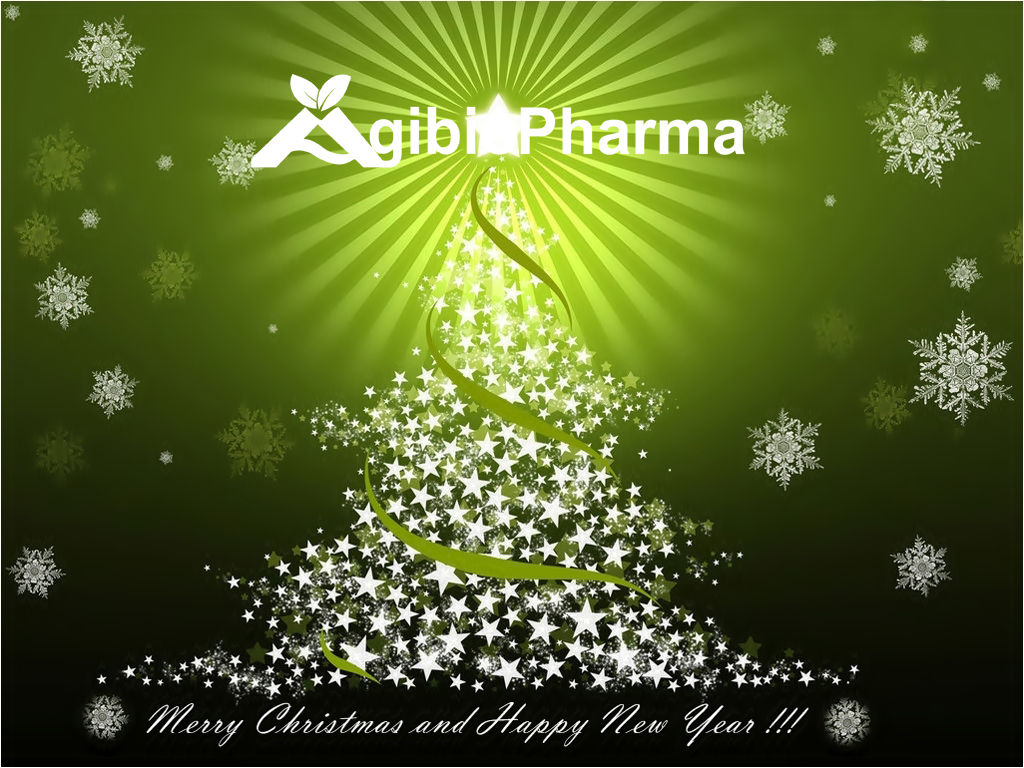Merry Christmas and Happy new year to you and your family at this holiday season

🎄🍾
