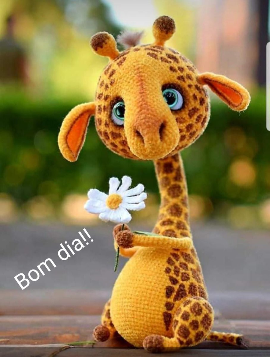 vanessamdaneves's tweet photo. @CarolinaMalta https://t.co/7T6pk6l2VK