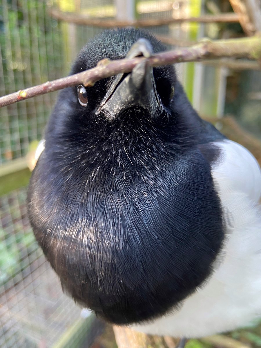 breesophiebree's tweet photo. Start your week off right, with STICK! https://t.co/cSiNLvlY9C