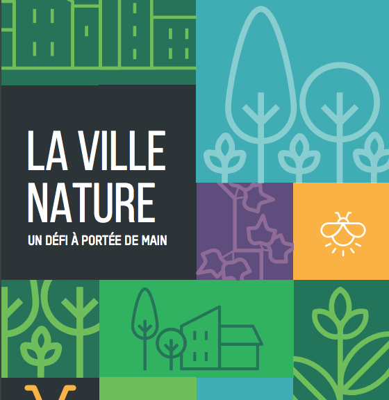 cite_verte's tweet photo. En 2020, prenez de #BonnesRésolutions pour la #VilleNature avec le guide des #BonnesSolutions du #paysage et du #vegetal ✨👏🌳@val_hor ➡️https://t.co/NFqztzXJJH
#VilleNature #VilleDurable #LeVegetalEstEssentiel #Nature #Paysage #Vegetal #Municipales2020 #FlashVert https://t.co/g705S8Bbcz