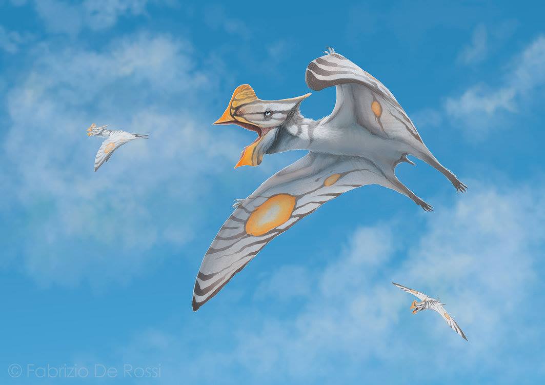 Nature inFocus on Twitter "FSD2020 Pterosaurs are an extinct group