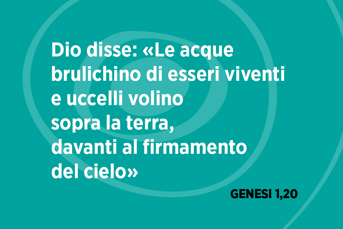 twittomelia's tweet photo. 📸 GENESI 1,20 📸
by @gianfranco_moc
•
La bellezza e la vita risplendono fino ai frammenti più piccoli.
•
#twittomelia https://t.co/0pnGy5o52Q