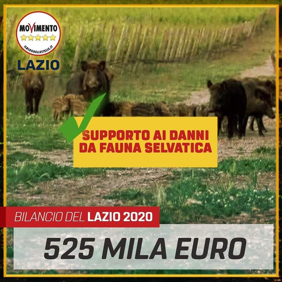novelli5stelle's tweet photo. 525 mila euro per i #danni da #faunaselvatica uno dei risultati che ho raggiunto nel #bilancio regionale
#agricoltura #ambiente #ottavanota #presidente #incontrailpresidente #movimento5stelle #M5S https://t.co/fcgvZkkKJP