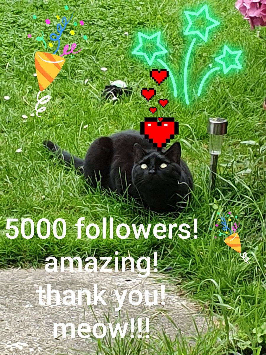 Thank you all you lovely types out there!
I cannot believe you all want to follow little sassy pants me.
I hope I can continue to be awesome and entertain...and sass some more.
Meow!!! Xxx