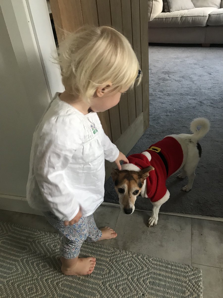 HenrysDogTweets's tweet photo. Not really a fan of being Santa 🎅 Paws 🐾 mum xxx #hohoho https://t.co/5Khh351tQq