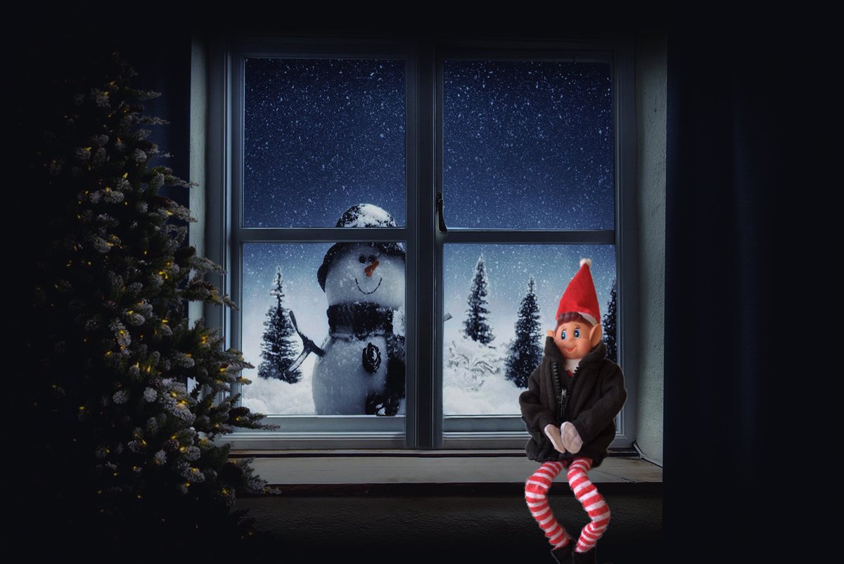 Merry Christmas from all at LEV #elf #elfontheshelf #christmas #santa #santashelper #lambournequinevets #naughtyornice