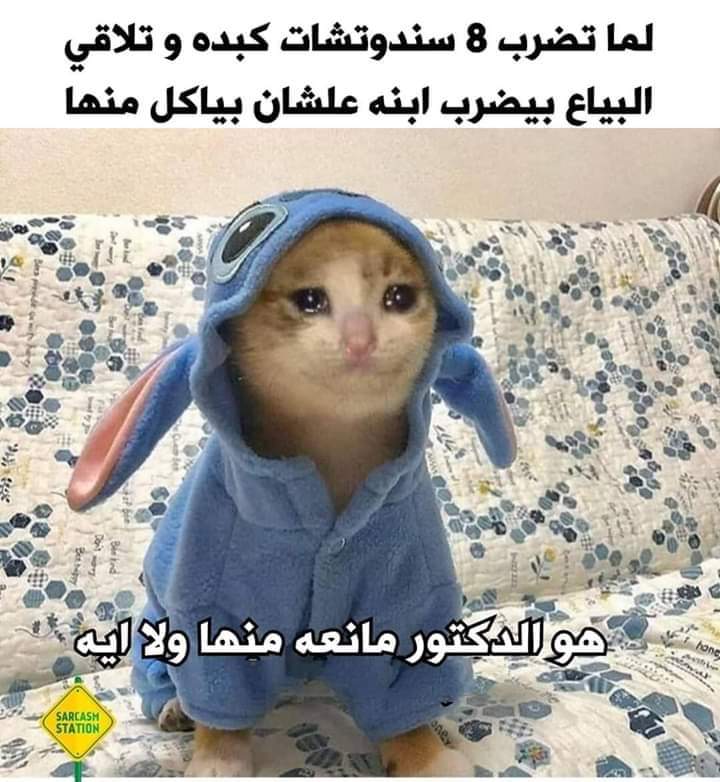 Montaser Mostafa (@monthegazy) on Twitter photo 