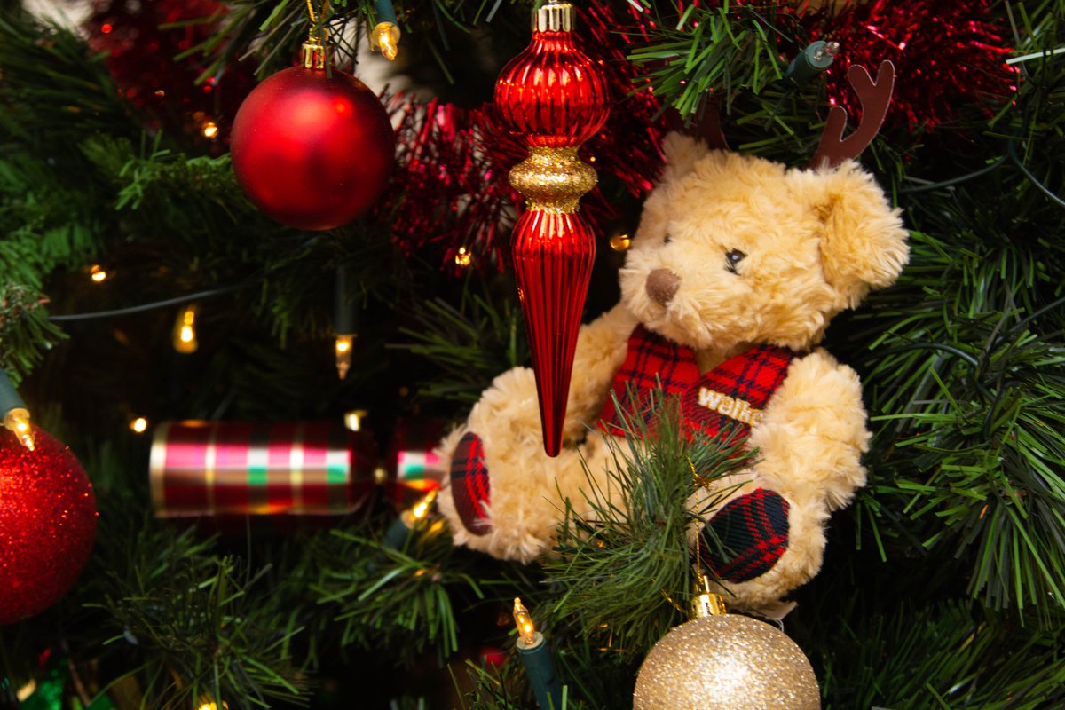 Shortbread's tweet photo. Walker Bear can't contain his excitement... 2 more sleeps!!
#ChristmasIsComing #ChristmasEveEve #WalkerBear https://t.co/N4lcxAgg64