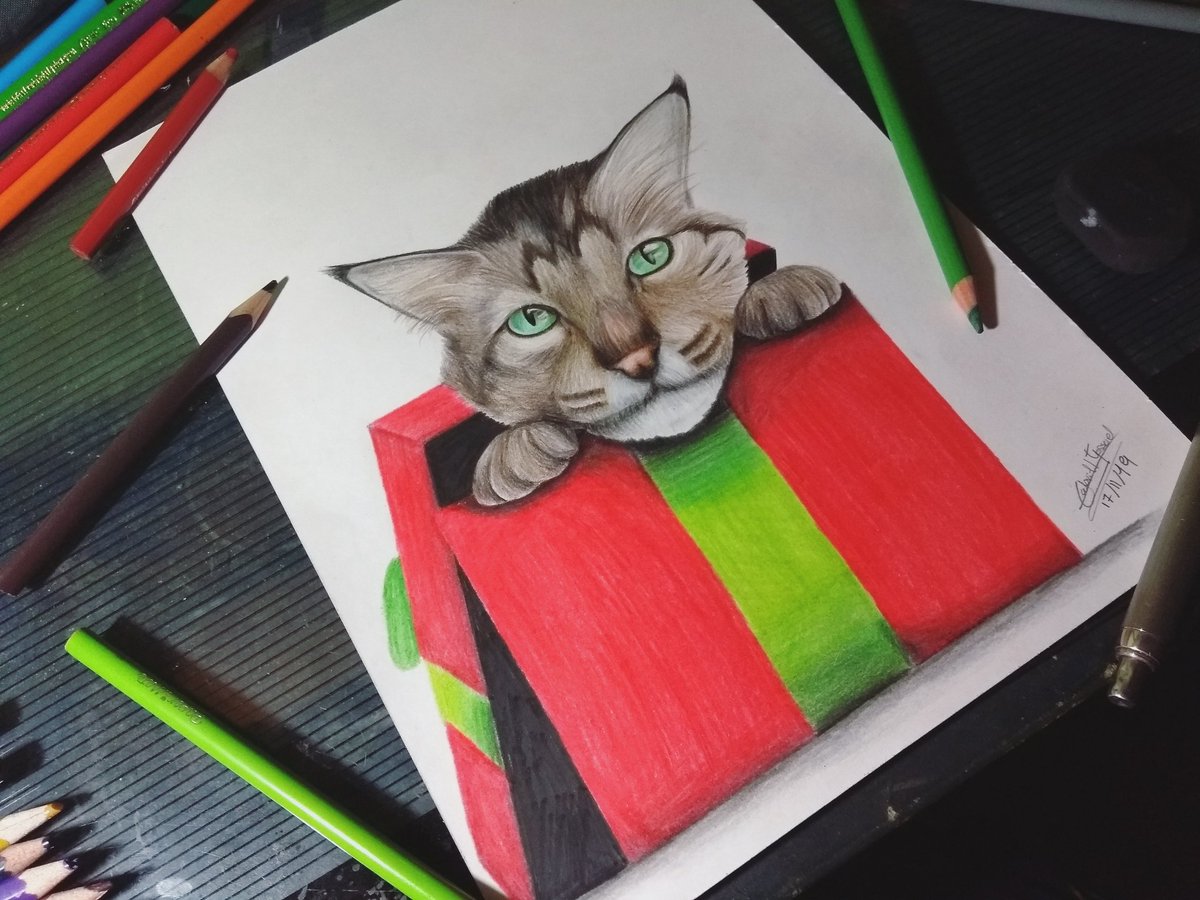 Gabriel17712308's tweet photo. Dibujo navideño! Este es un dibujo de lo que más me gusta de la navidad.
Materiales:
- Hoja de block
- Borrador faberCastell
- colores prismacolor
- colores faberCastell
- colores PaperMate
- colores kores

Espero les guste!! #gatorealista #navidad #dibujonavideño #dibujorealista https://t.co/S3CC8fRRUV