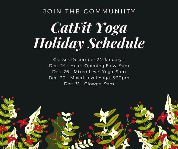 CatFitYoga's tweet photo. Christmas Schedule and Fundamentals Workshop! - https://t.co/70GMUCaGZP https://t.co/kgZNpEWGEV