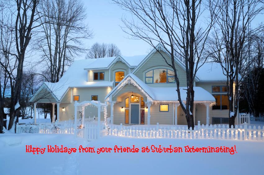 Merry Christmas and Happy Hanukkah from our family to yours!