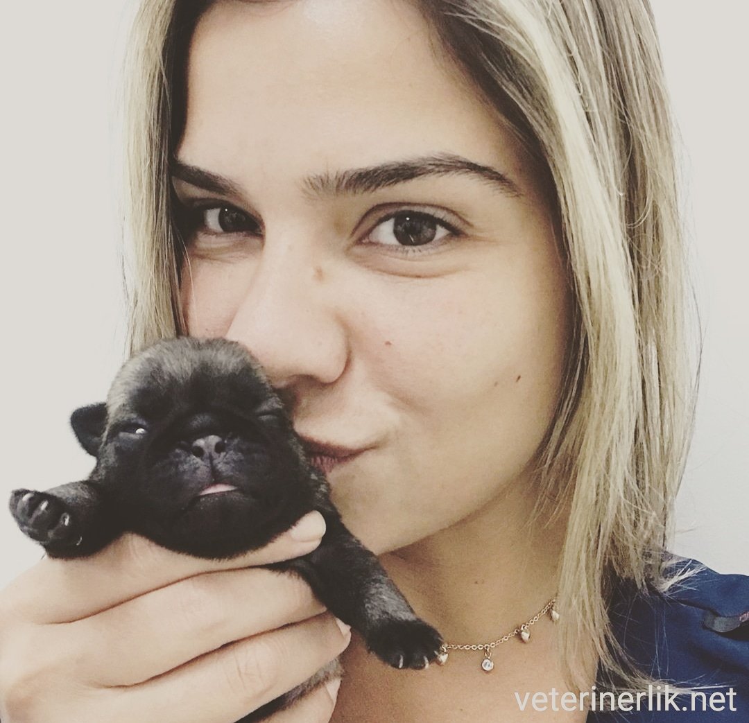 Yüzümü gülümseten minik misafirim 🐶💕👩

Dostlarınızla ilgili tüm sorularınızı alanında uzman veteriner hekimlerimize ücretsiz sormak için hemen üye olun.

veterinerlik.net

#dog #köpek #hayvan #dost #veteriner  #veterinerliknet