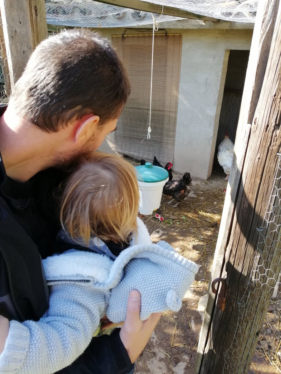 Monica_Usart's tweet photo. 🐔Ous de gallines que campen lliurement, criades sense il·luminació artificial ni tampoc substàncies químiques. El gust de la truita, ou ferrat... immillorable! 😋 @josocblau #josocblau #SegellBlauAgbar https://t.co/4IBjOKh3gu