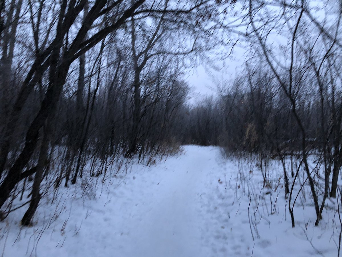 greystone75's tweet photo. Beautiful morning for a run in Saskatoon, great running city, lots of paths to run. Feels good to come back to my university running ground. Feel privileged to be able to run on the university x-country & track team. #beatcancer #everydayisagift #runningisagift #runsaskatoon https://t.co/JnXCFdyJTu