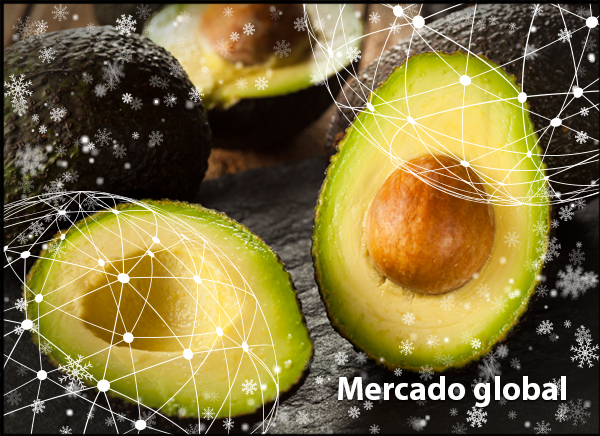 FreshPlaza_es tweet picture