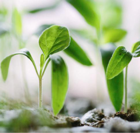 #MondayMotivation “Success is the sum of small efforts, repeated day-in and day-out” - Robert Collier.

Prepare for success with these 40 free activities for #LearningEnglish that take only five minutes to do!

camengli.sh/2qVBNlT

#ExamPractice