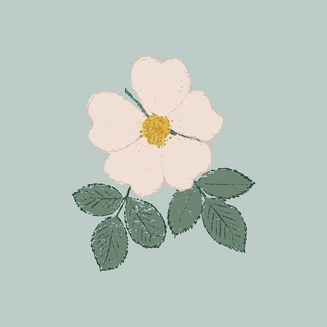muslimcreatives's tweet photo. #CMWArtMonday from @aminaheleonora: Wow, it’s almost a week since my last post and well this week have been filled with work, fever and colds 🤒🤧 I’ve also had some kind of creative block which brings me to this winter flower 😍 One of the best ways to… https://t.co/weAz5e3zwq https://t.co/vnxvjOPjnS