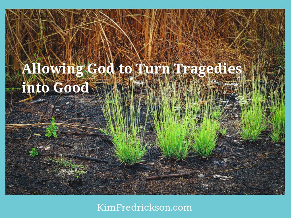 KimFredrickson's tweet photo. "How has God redirected your life for good?" https://t.co/mIMIXqsakH #Faith #God #PulmonaryFibrosis https://t.co/Ta2lifqT21