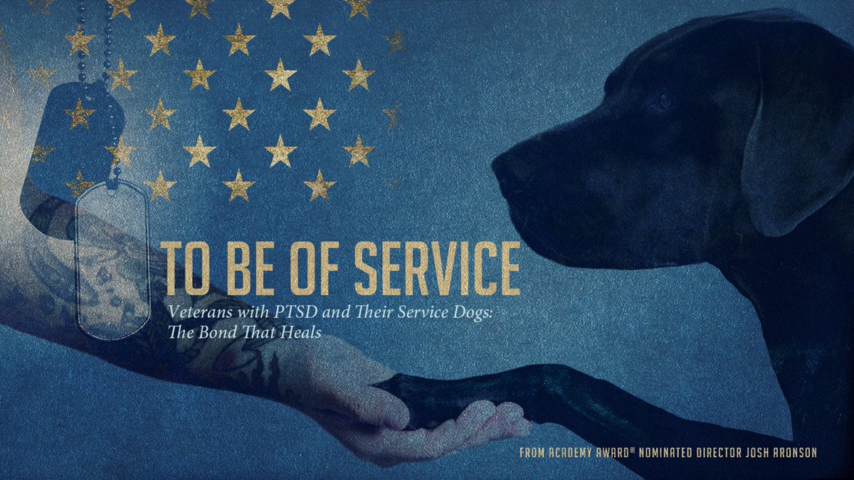 BeOfServiceFilm's tweet photo. To Be of Service in 2020 - https://t.co/J7Mec2bG0t https://t.co/sT0SFiXnav