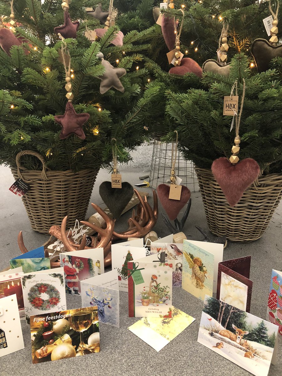 Heel veel lieve kerstkaartjes gekregen van onze klanten! Ze staan hier bij ons gezellig onder de boom. 🎄